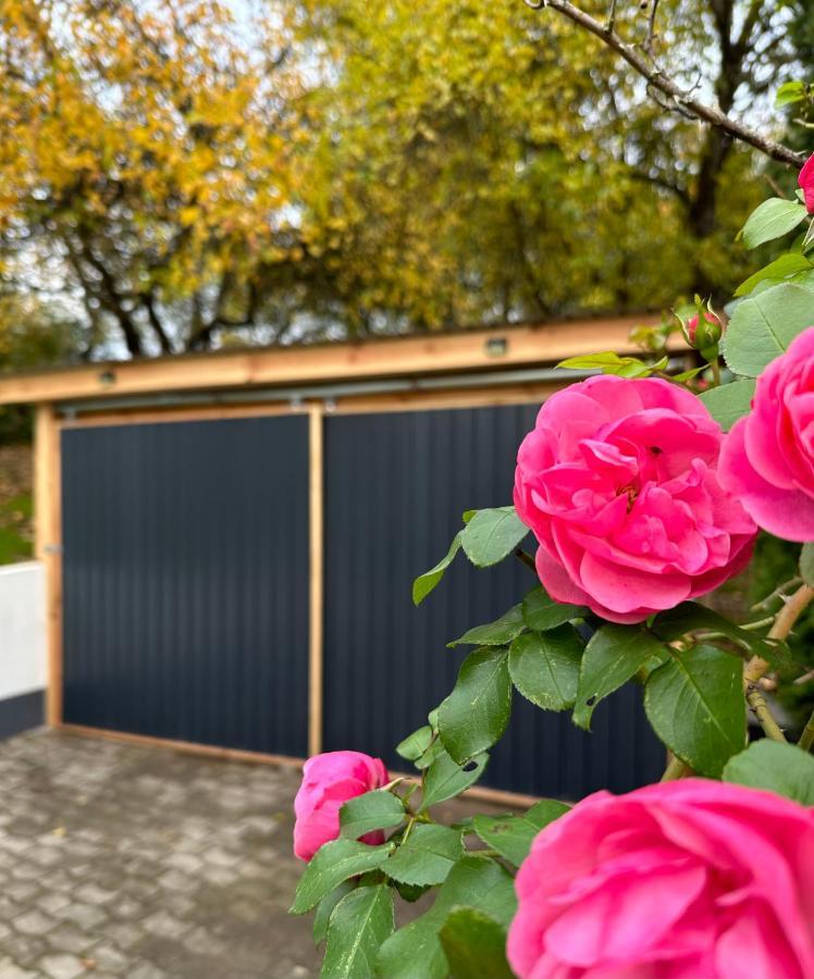 Ferienhaus Ella Trautskirchen Exteriör bild